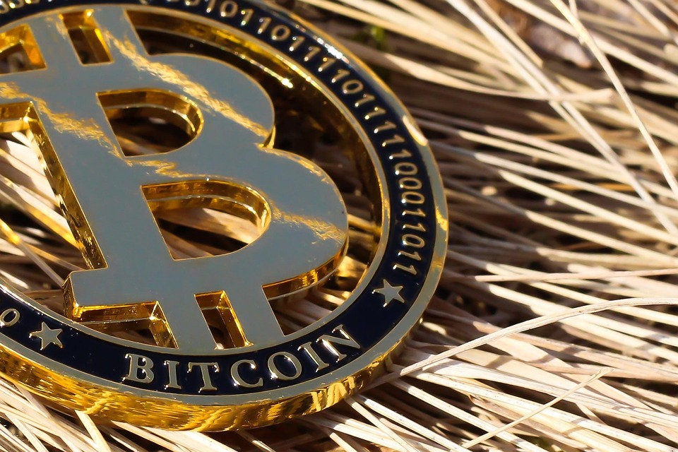 AI概念币ACT、IP 同步暴跌20% 又迅速反弹！诡异的币价走势引热议